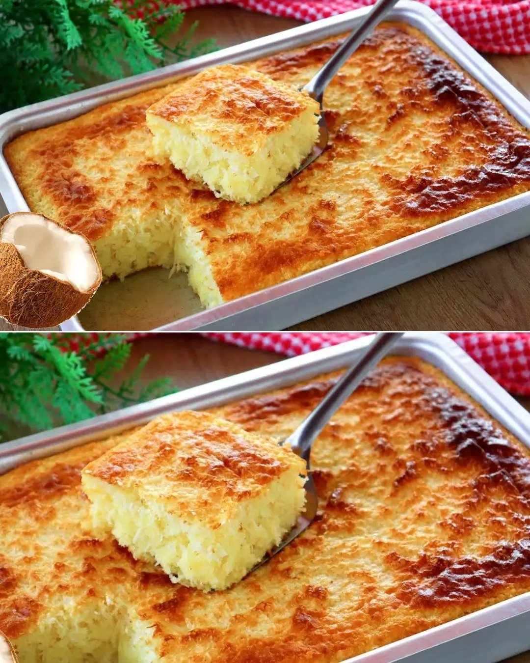 533710996 122279727644029666 747159322281776681 n