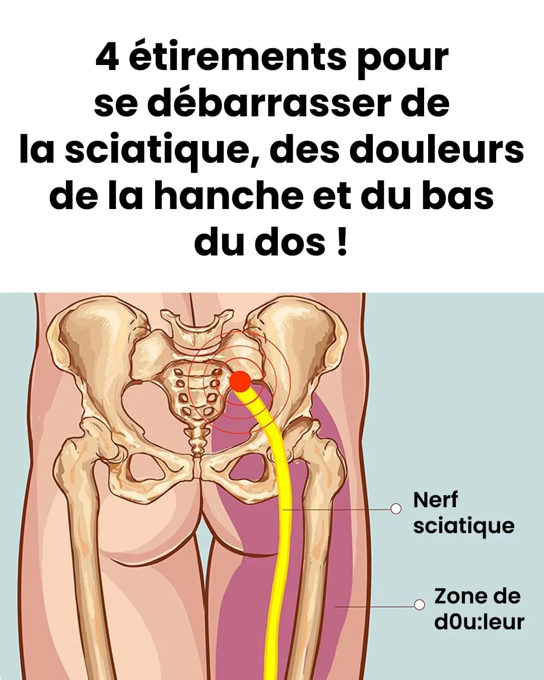 4 exercices pour etirer le piriforme et en finir avec la sciatique et les douleurs du bas du dos.jpg