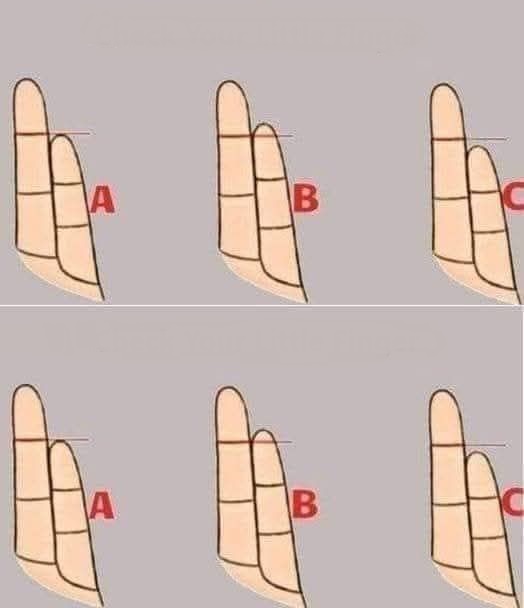 501426969 122132763746681231 3077918610094164470 n