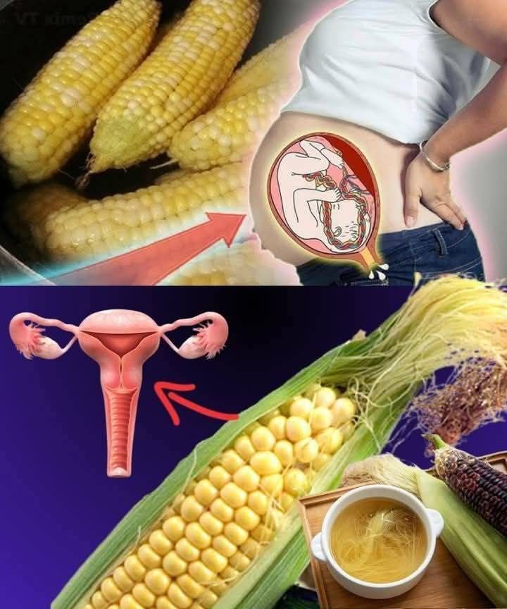 503686420 1266068431600091 9152154927137104362 n