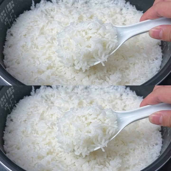 507988846 1275013710705563 327510992718893146 n