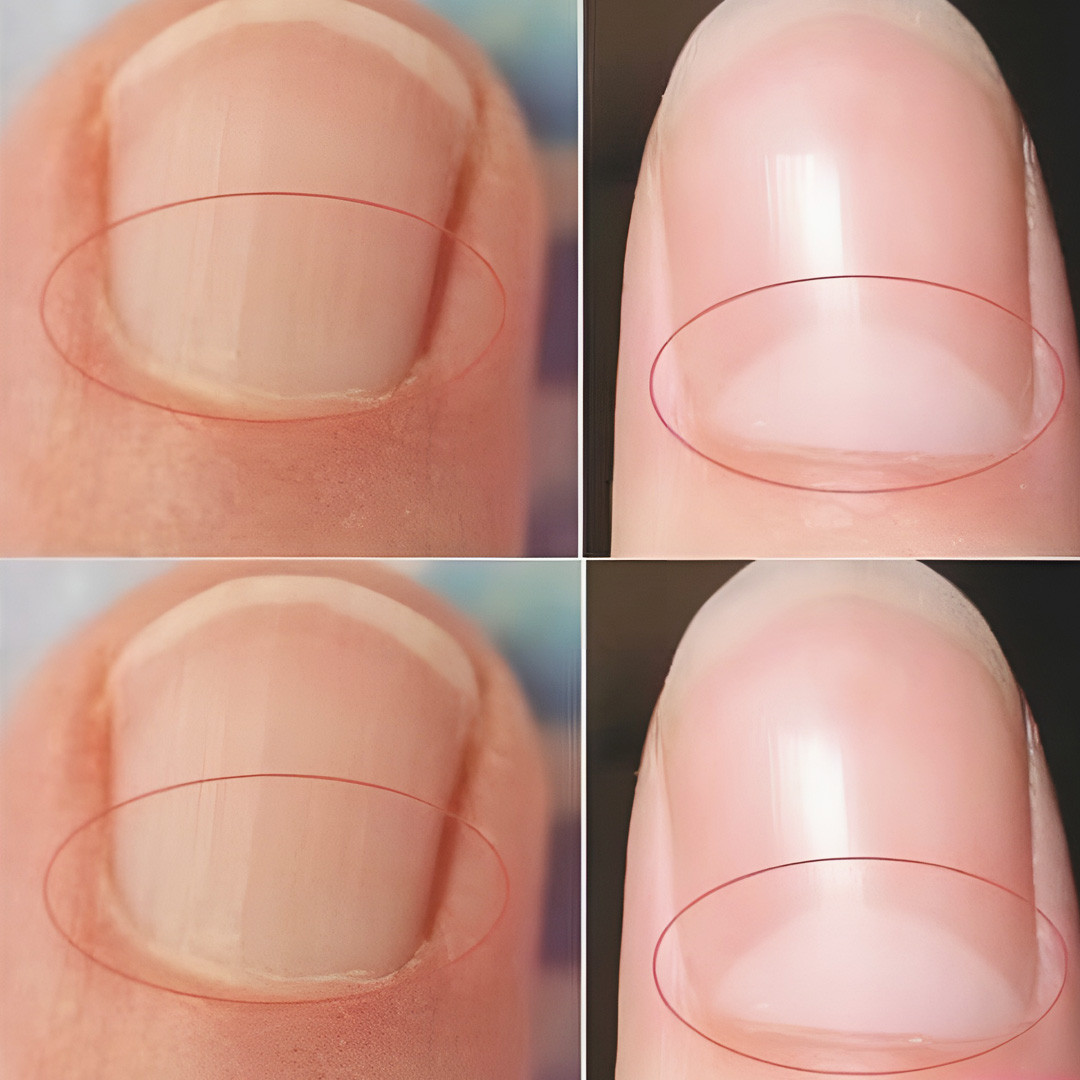 508121797 686978764171464 4317071782304081415 n