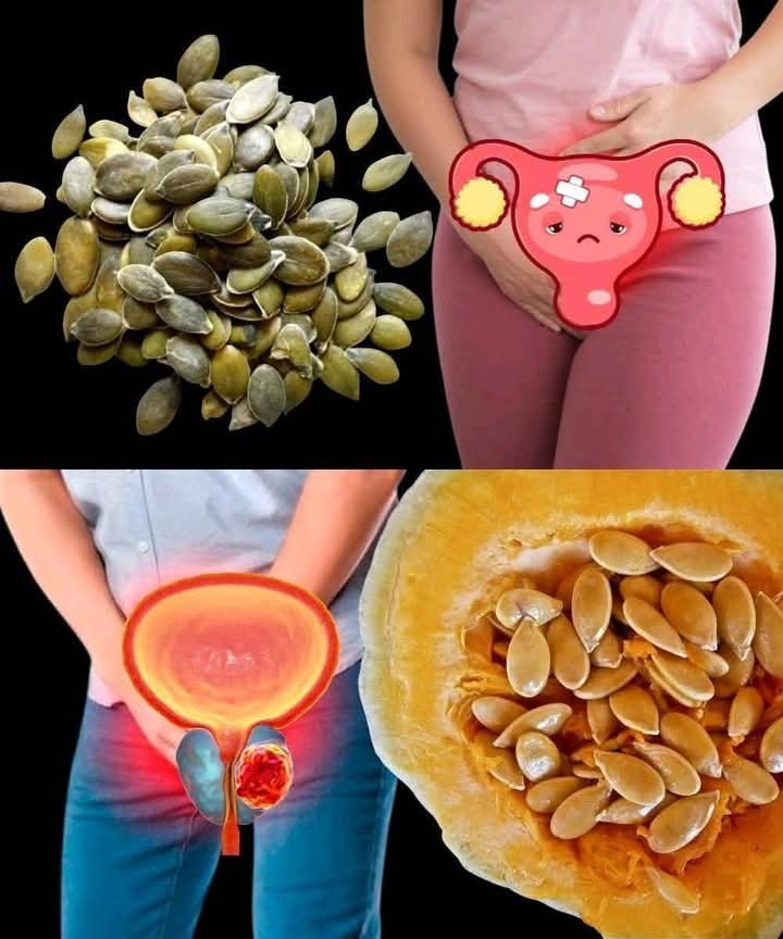 513209720 1910708976431756 7528088297883533512 n