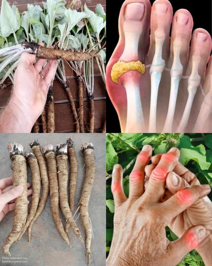 518272856 1301721391368128 4420197138978810230 n