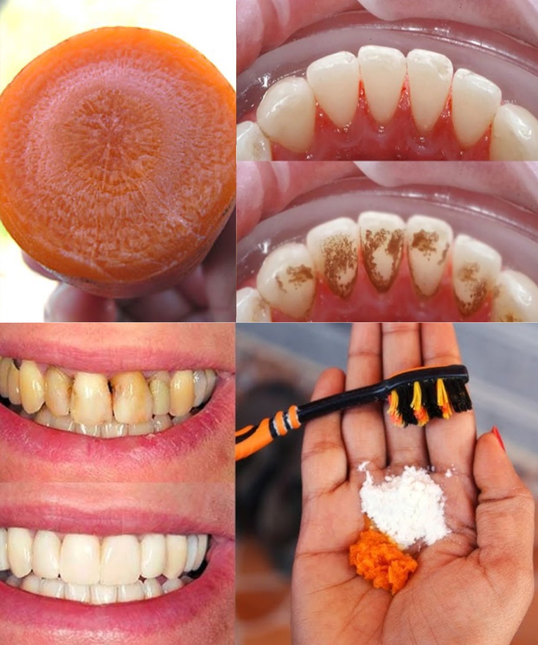 528119885 1173278778170029 683676597711394542 n