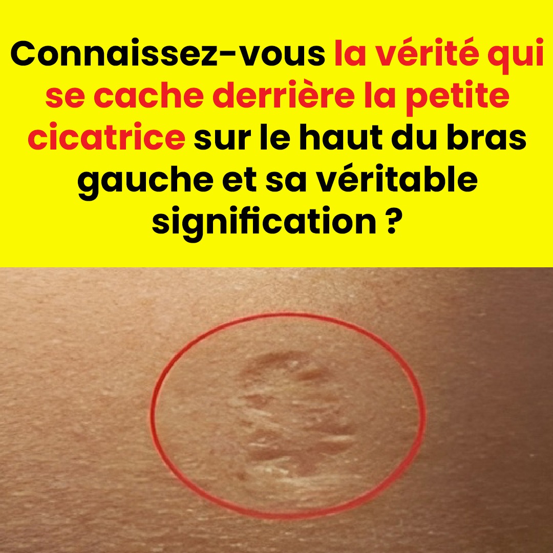 528458261 1173833888114518 1784674981643054281 n