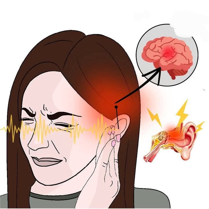 531254062 1322558122617788 4608946928548600212 n