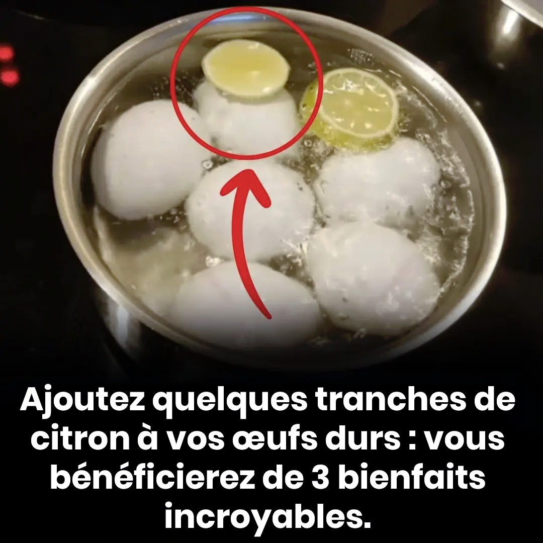 532595979 1179820637515843 2200514058361818210 n