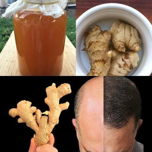 532647056 1324302099110057 8109854666581196073 n