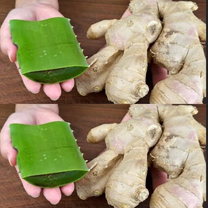 538633997 1333966111476989 4828942166283909113 n