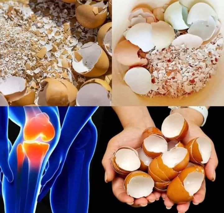 541116301 1339734647566802 9108145130984909700 n