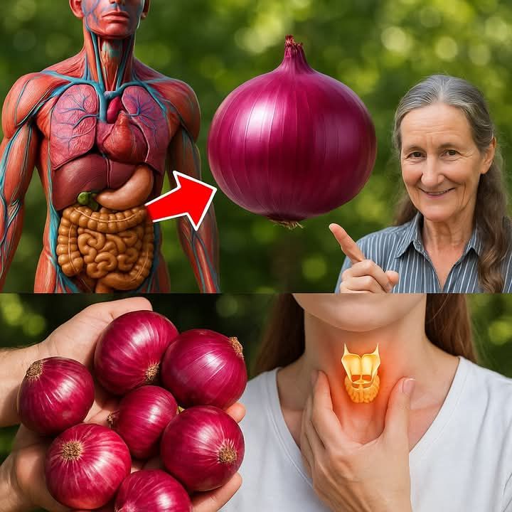 542077681 4020902494723219 7391352344324592896 n