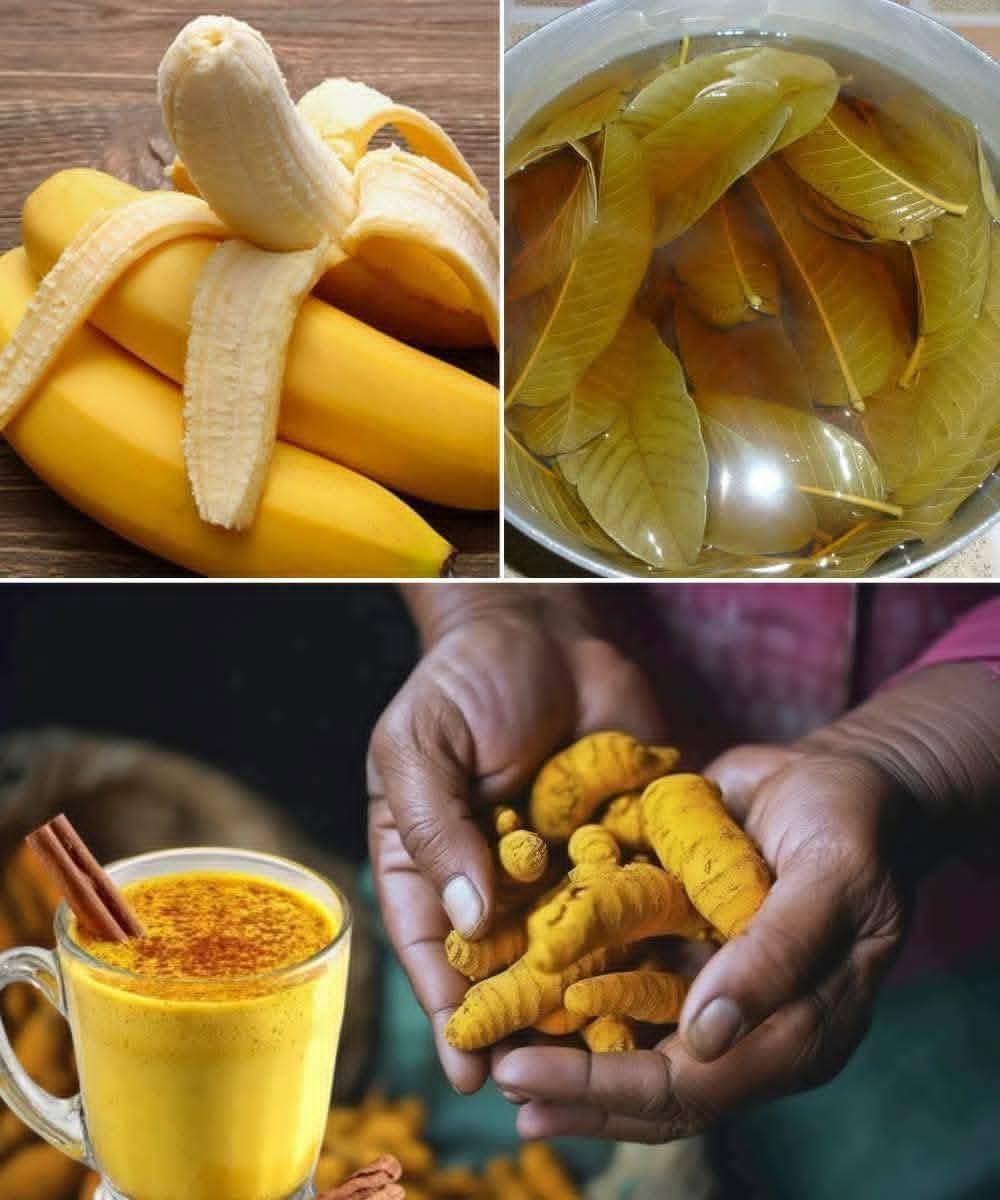 542562013 1499269347872820 1096000837460944351 n