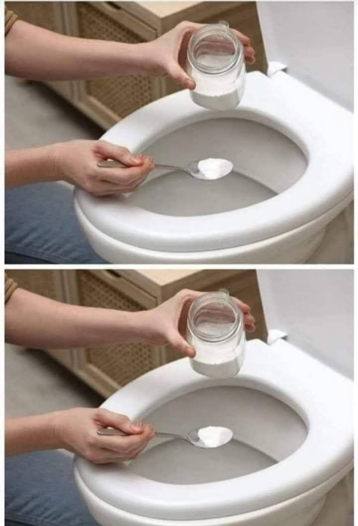 543397908 1342706860602914 4885775706973301939 n