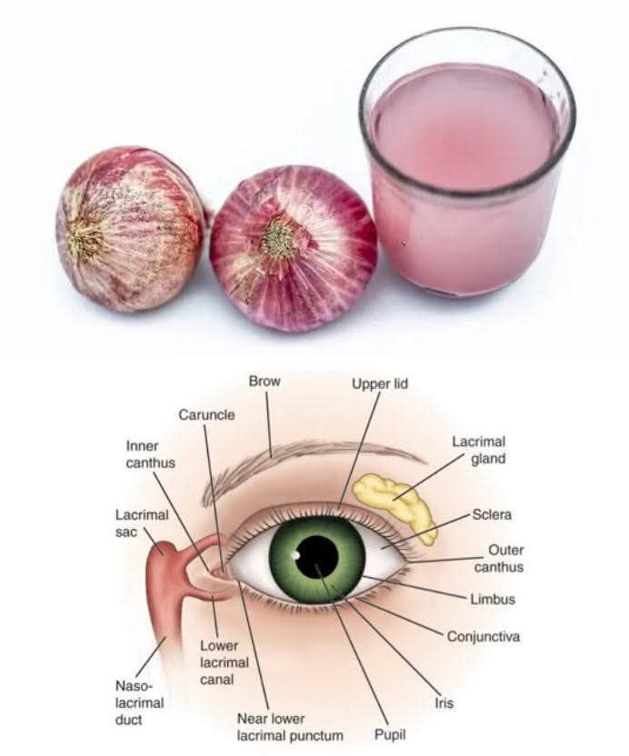 545699789 769382979353559 308773067444910211 n