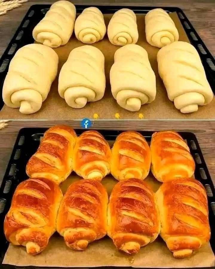 546847612 1440086183767322 5889076490604232725 n