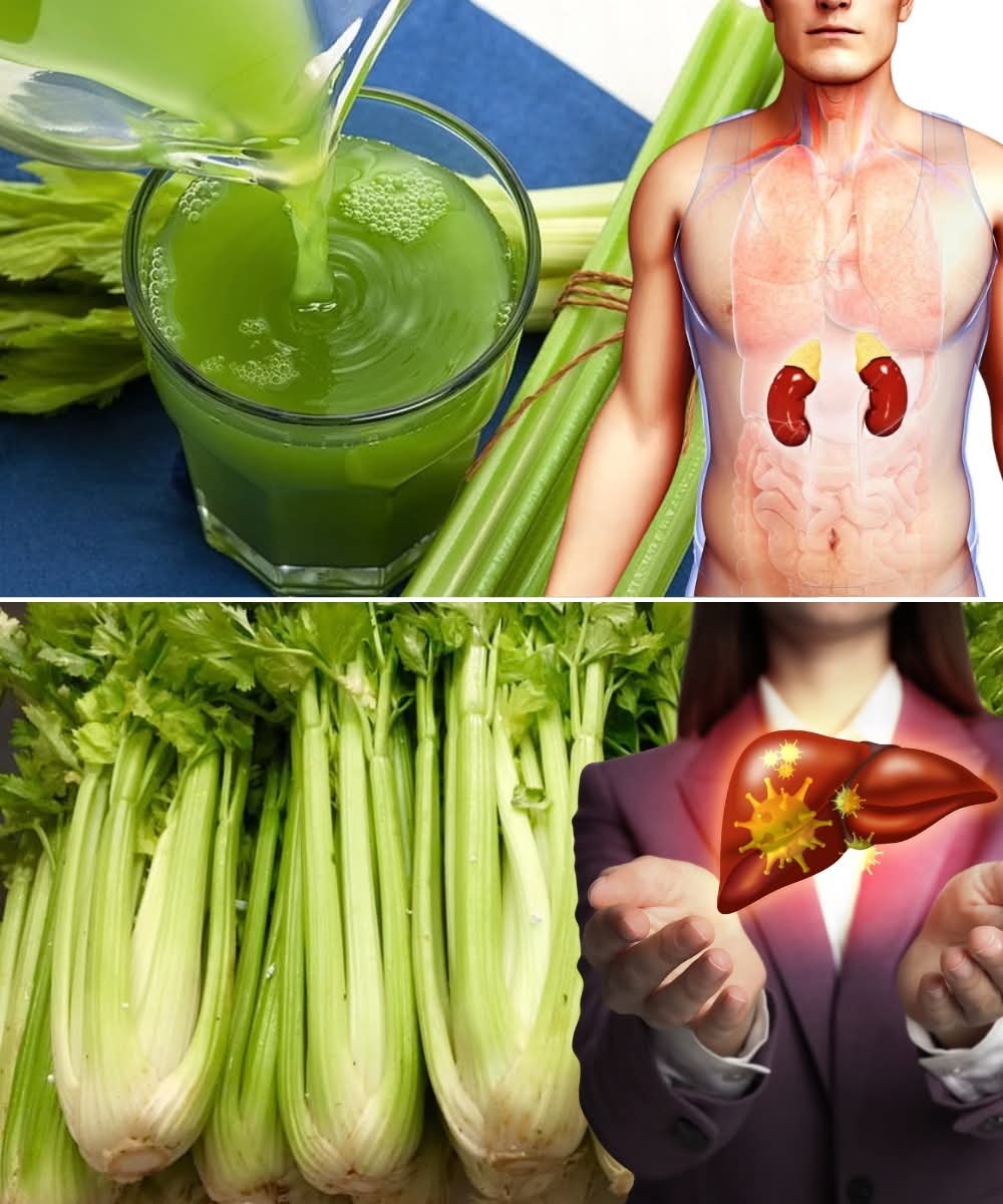 547223750 122180491052521501 6750407497024346500 n