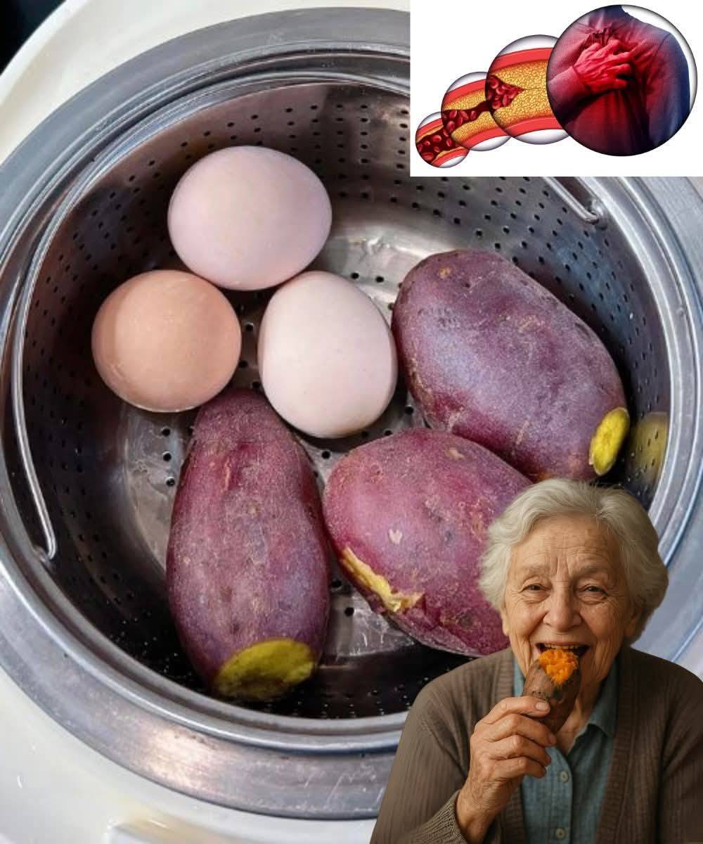 547570343 122170422866530577 6581514305957064146 n