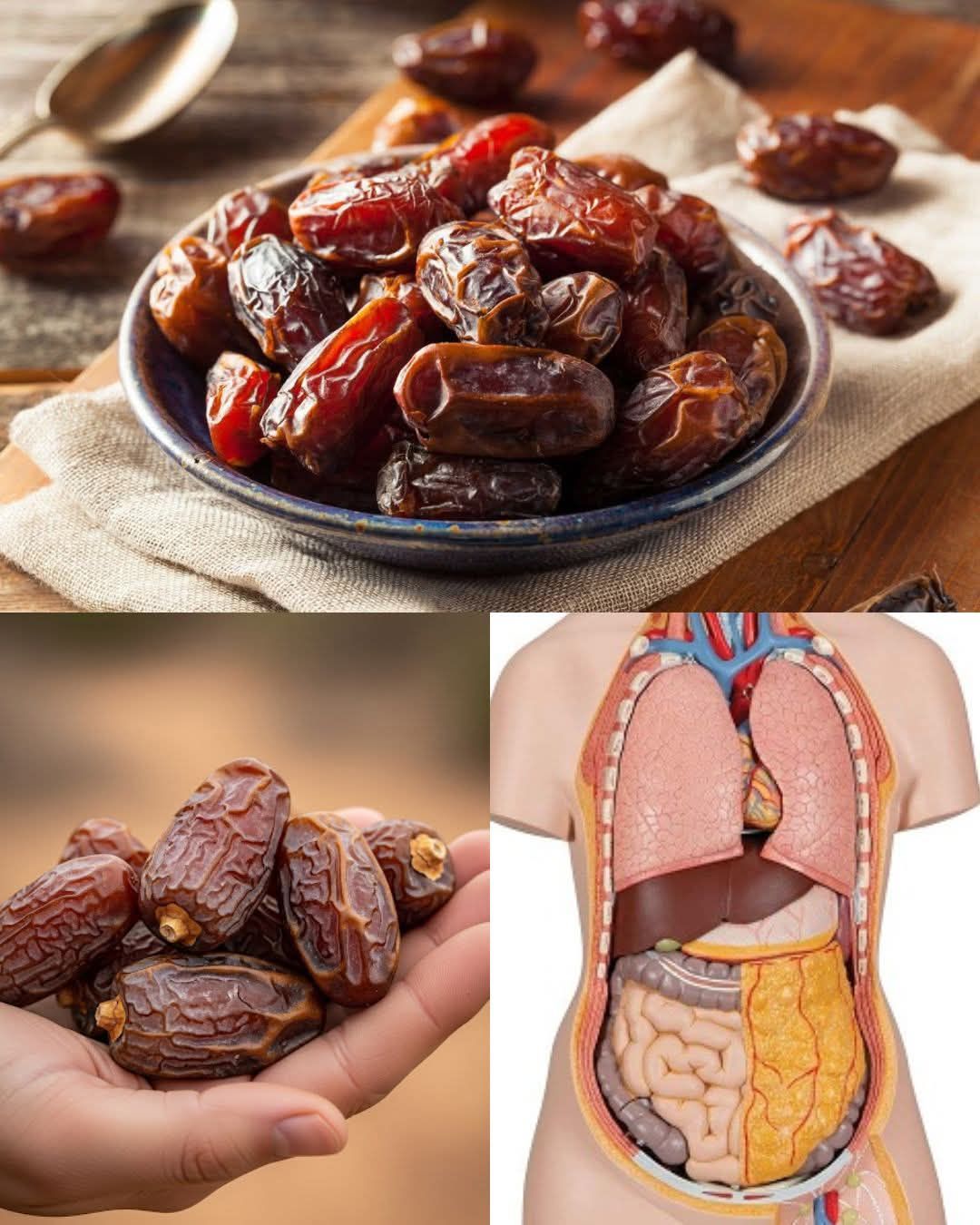 547697070 769955922629598 434239837590358904 n