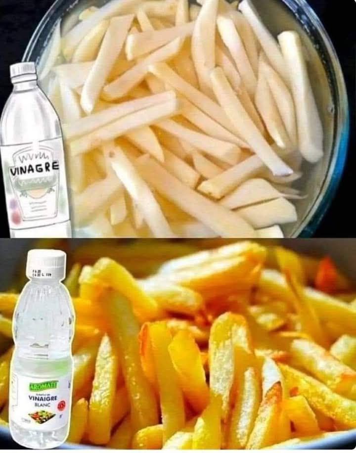 547744904 1505076683958753 8853365767334944671 n