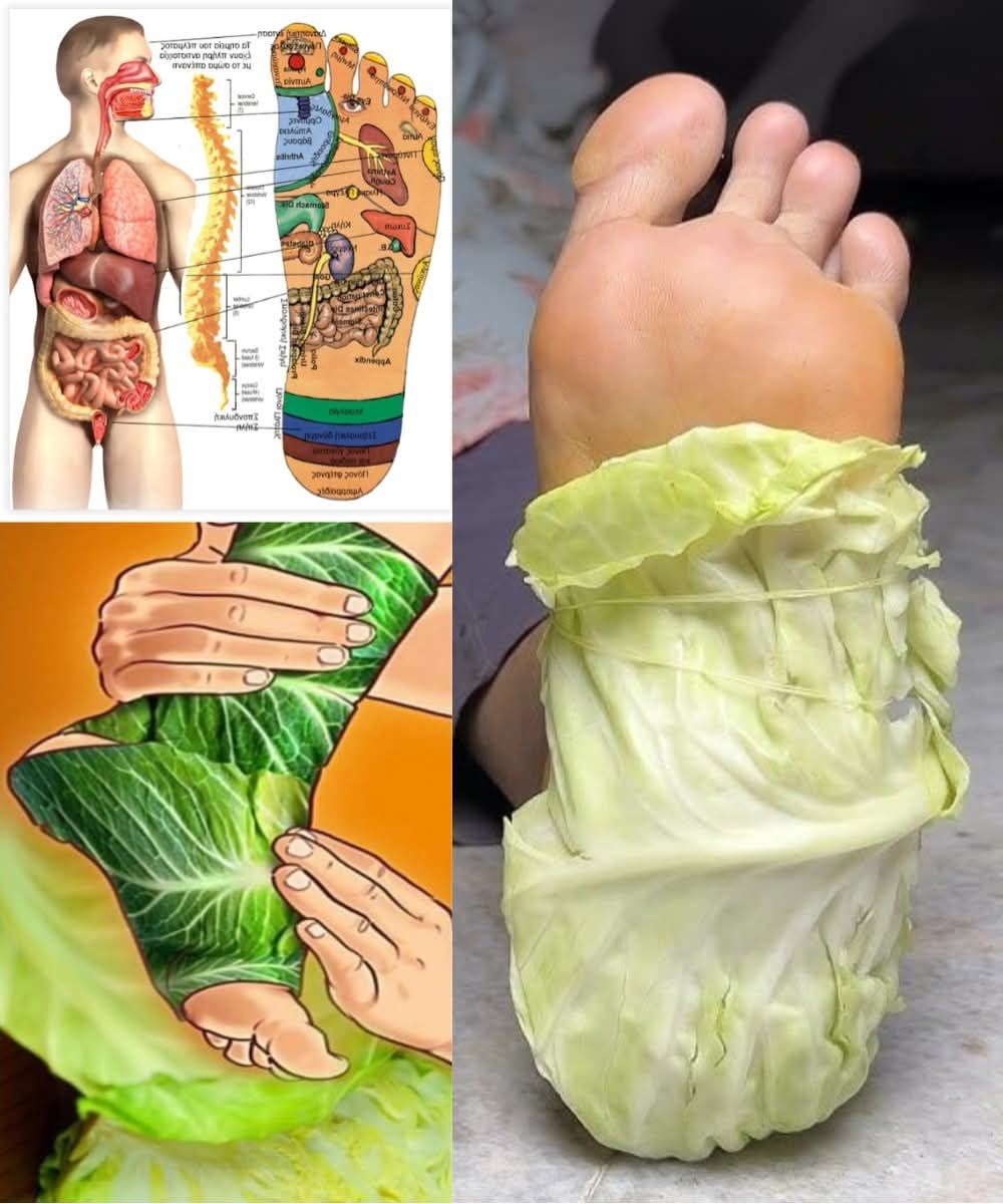 547839573 837206862119232 4848191029862410579 n