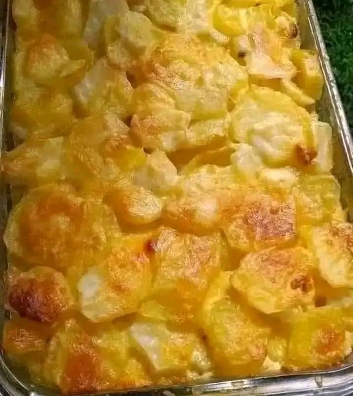 547975690 1230516215550297 6827605903220267851 n