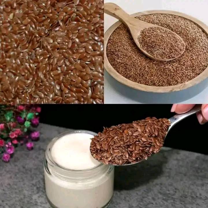 549296548 1233803165221602 6619916749898964383 n