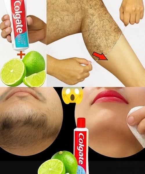 554780481 122182109948521501 5619393896176594018 n