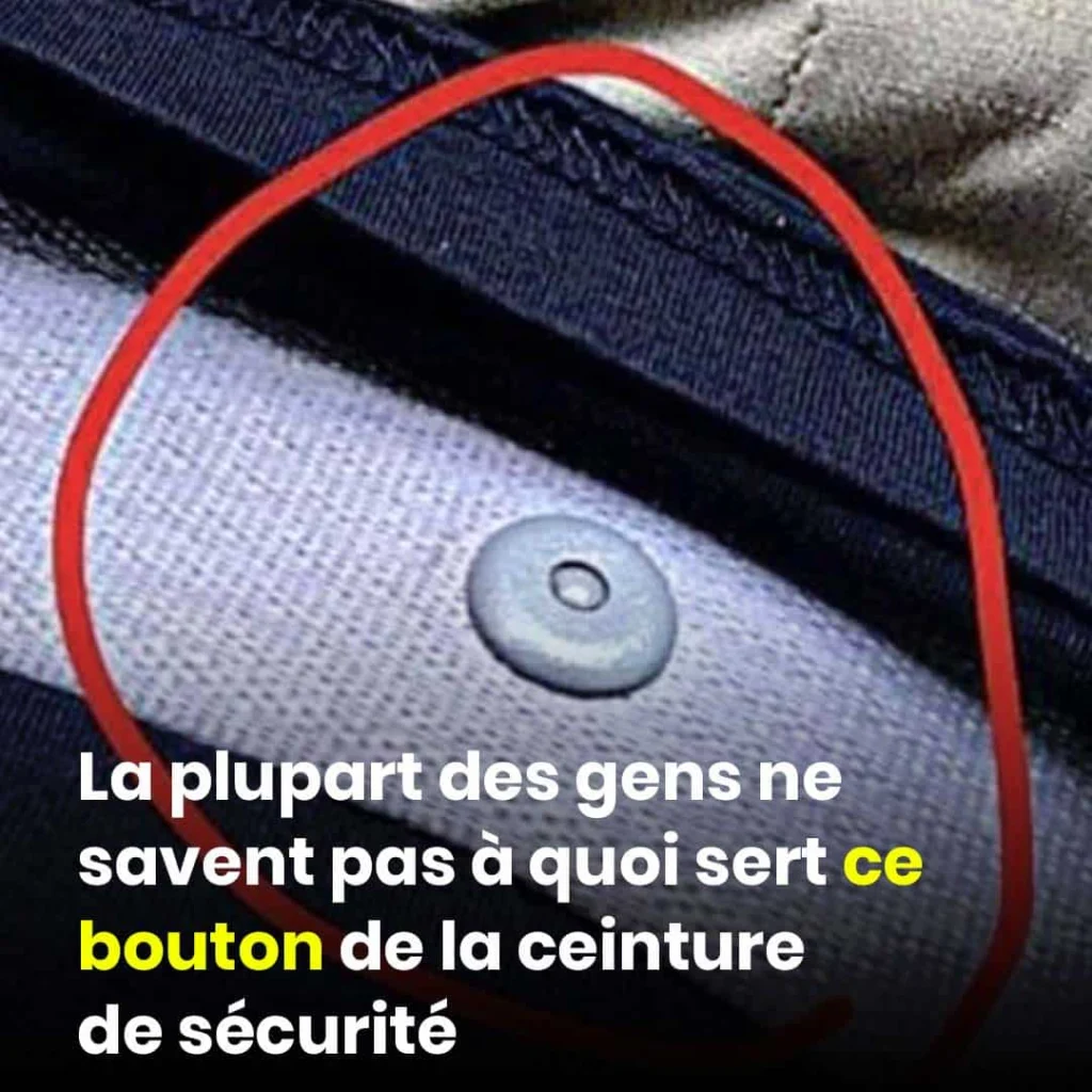 A quoi sert ce petit bouton sur la ceinture de securite 1024x1024.jpg