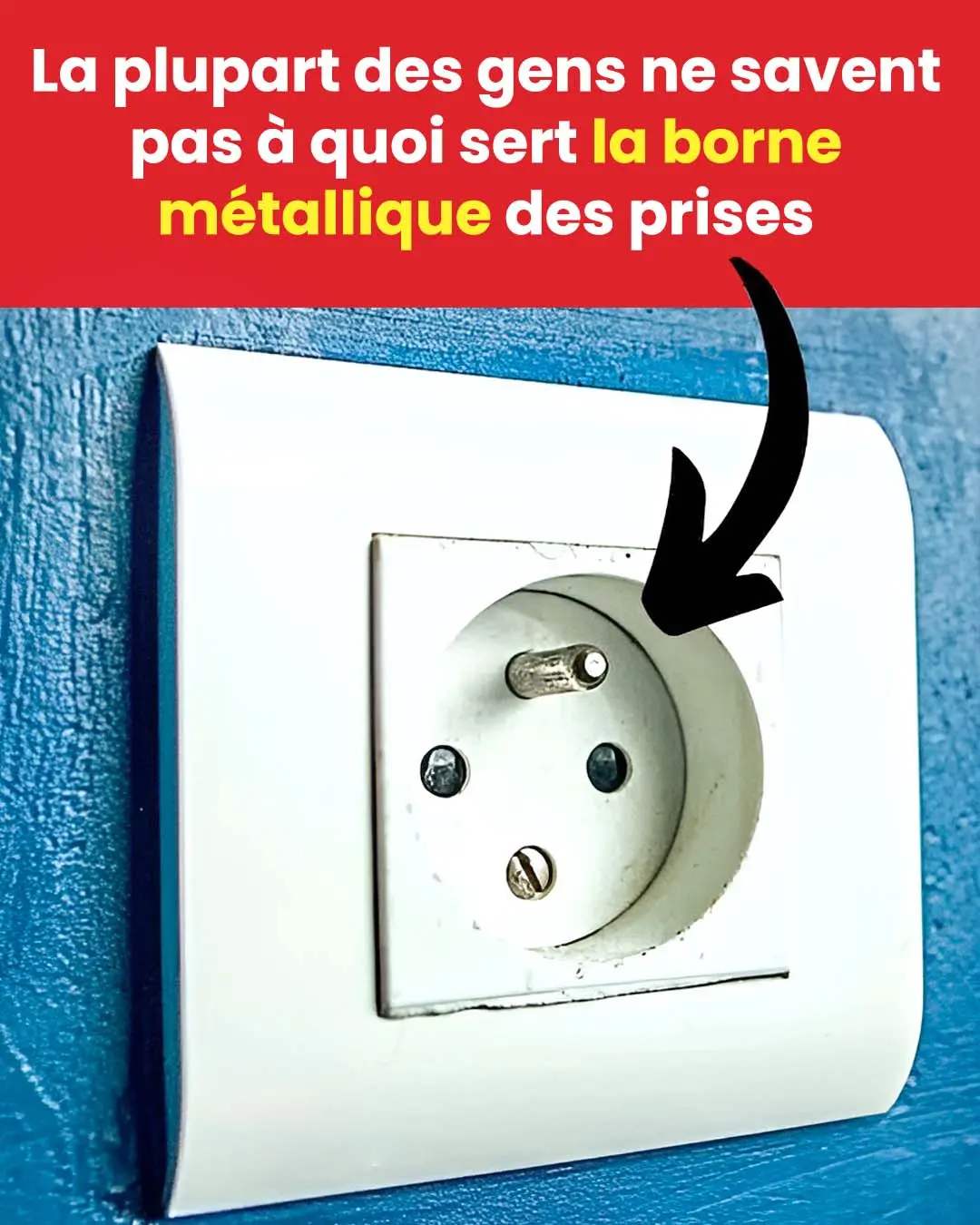 A sert la borne metallique de la prise.jpg