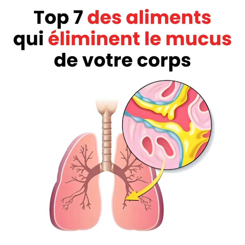 Les 7 meilleurs aliments qui eliminent le mucus de votre corps 1024x1024.jpg