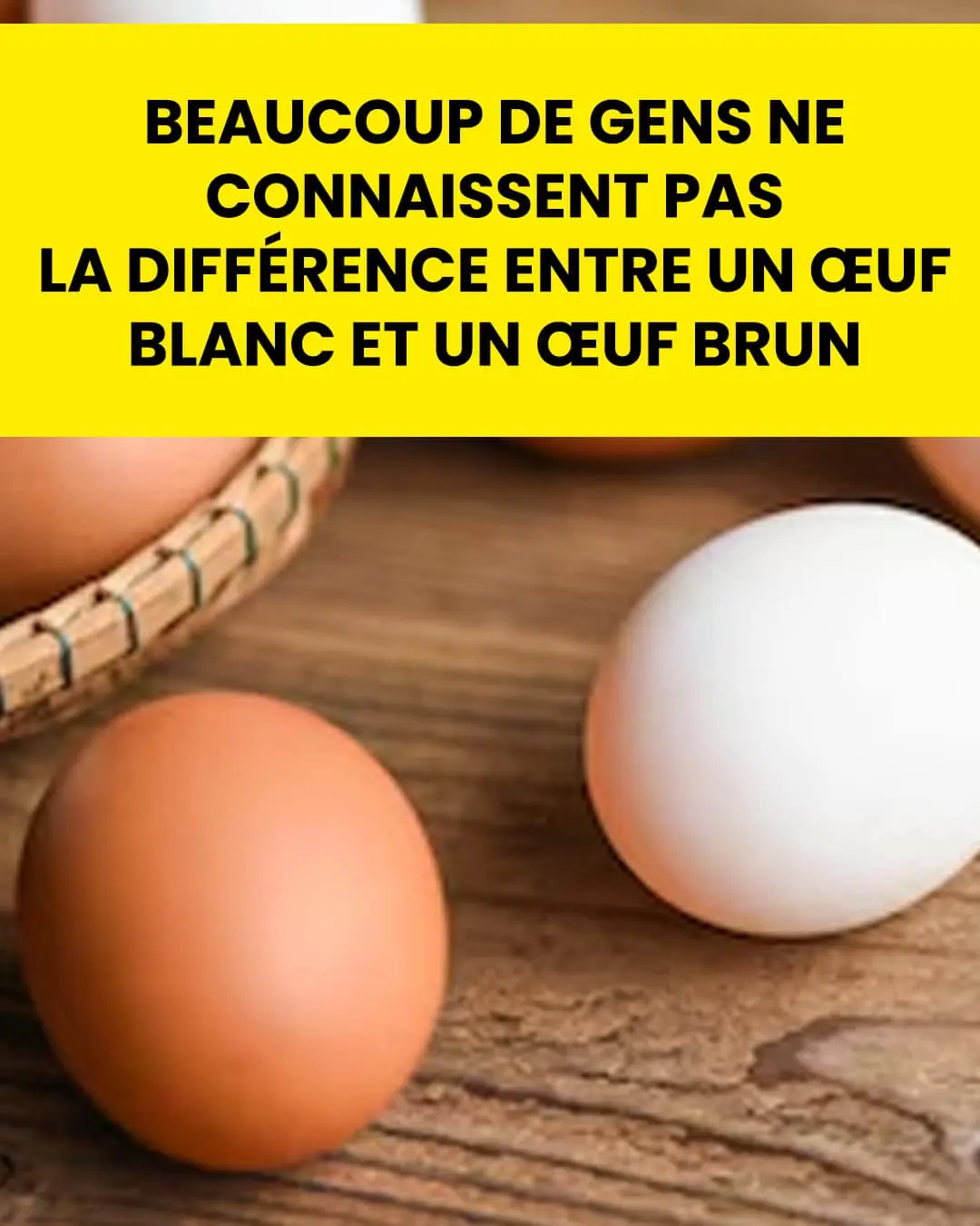 Oeufs blancs ou bruns quelles differences.jpg