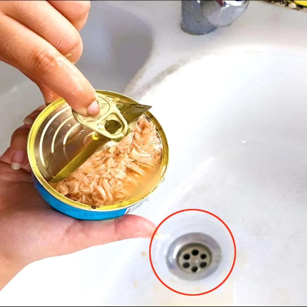 Pourquoi il ne faut plus jeter lhuile des boites de thon dans levier de la cuisine 1024x1024.jpg