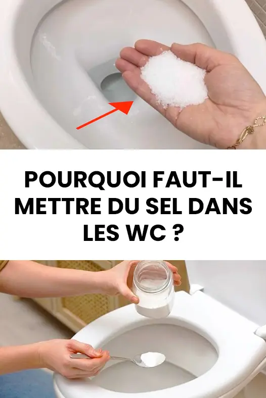 Pourquoi vous devriez mettre du sel dans vos toilettes.jpg