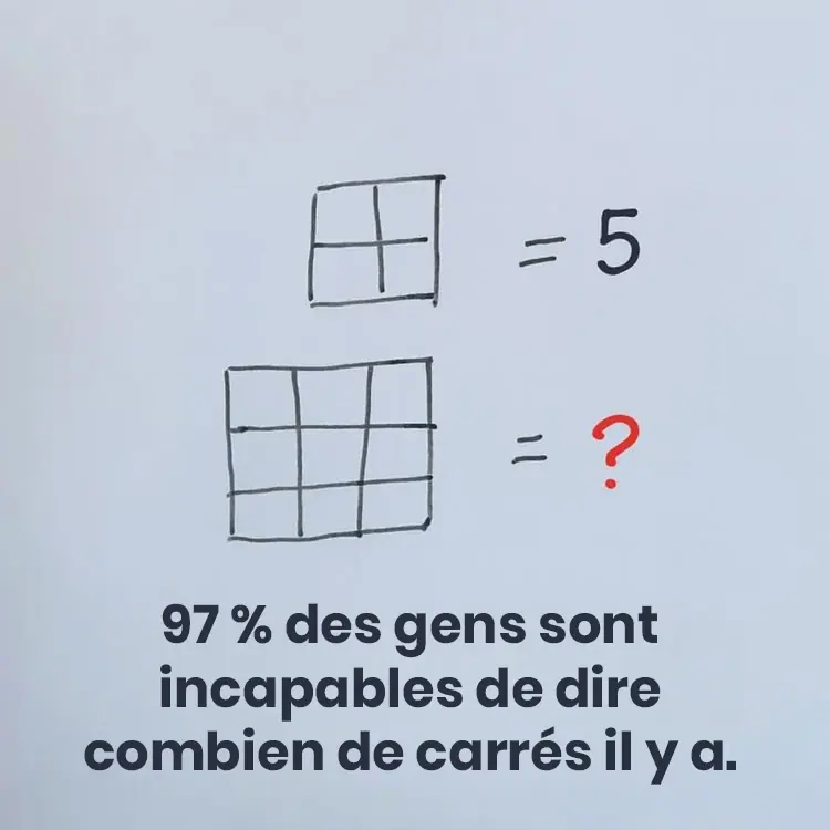 Test de concentration saurez vous retrouver toutes les cases.jpg