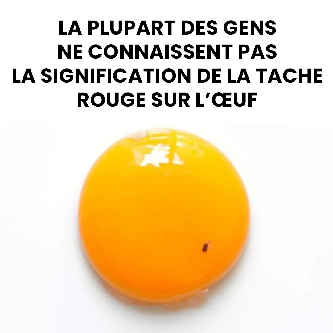 Voici ce que cela signifie lorsquun oeuf contient un tache rouge.jpg
