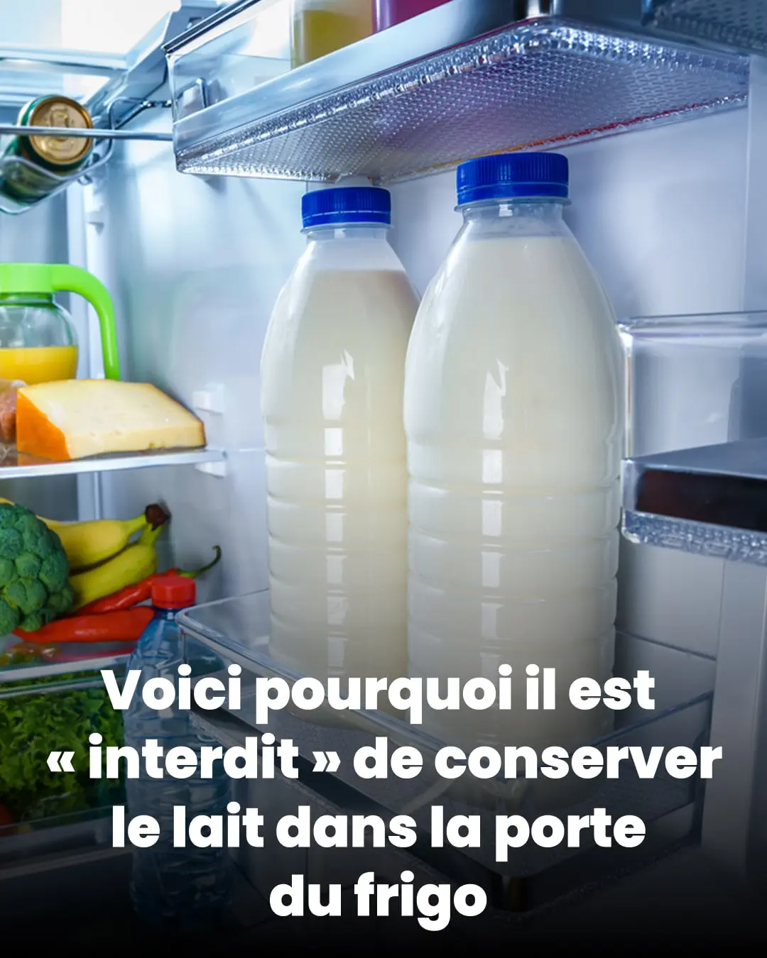 Voici pourquoi il ne faut plus conserver le lait dans la porte du frigo.jpg