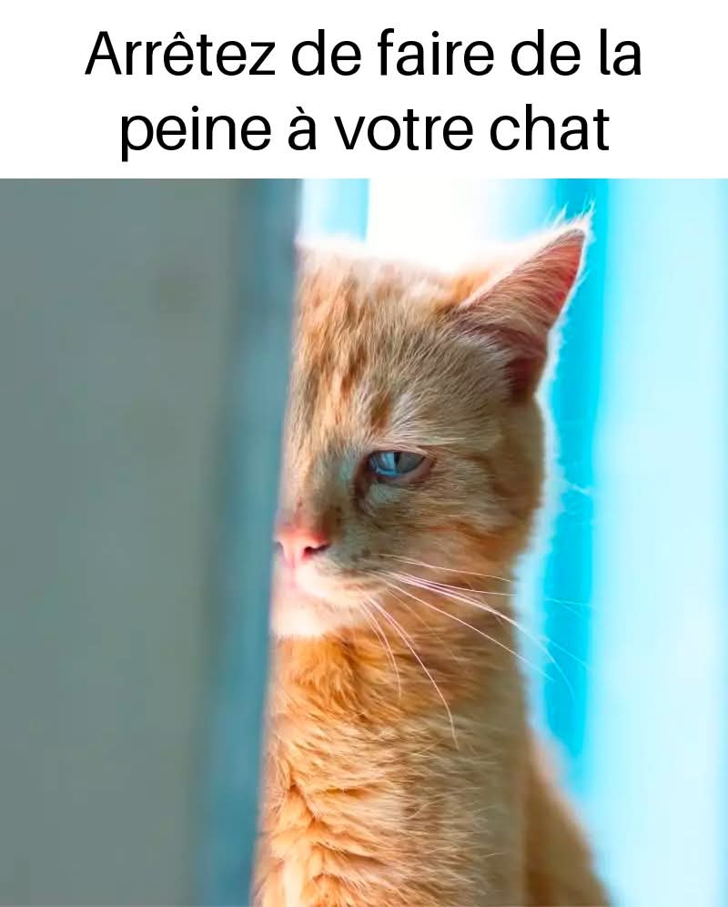 4600e0ea b1b5 401c abbc 94609df25483