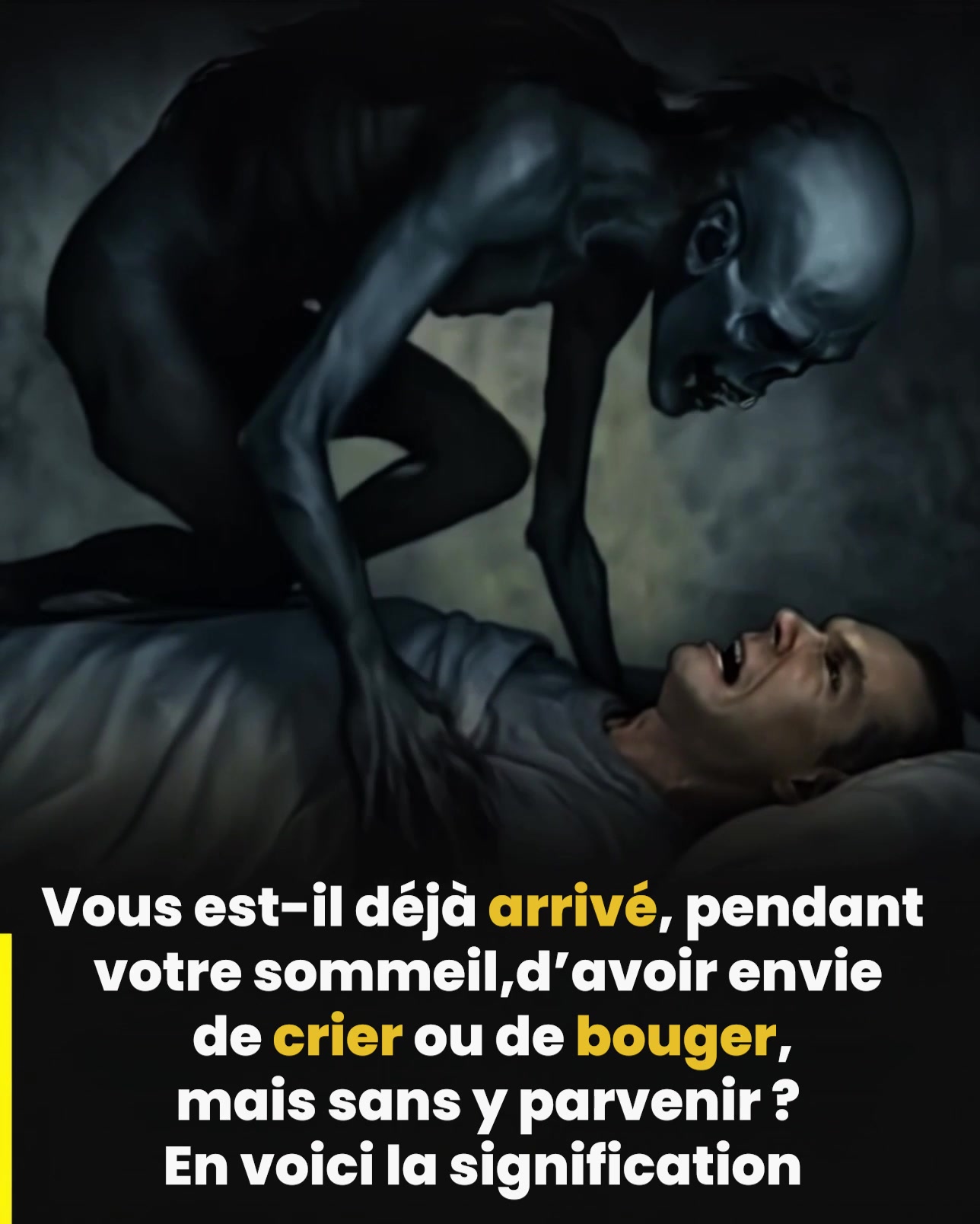 499782867 1764106204203110 2685298693105238167 n 49 1