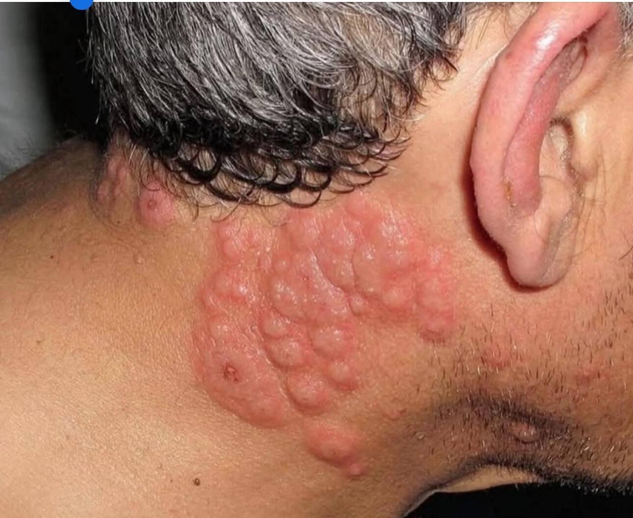 557464605 2660819897622625 8458260076386424003 n