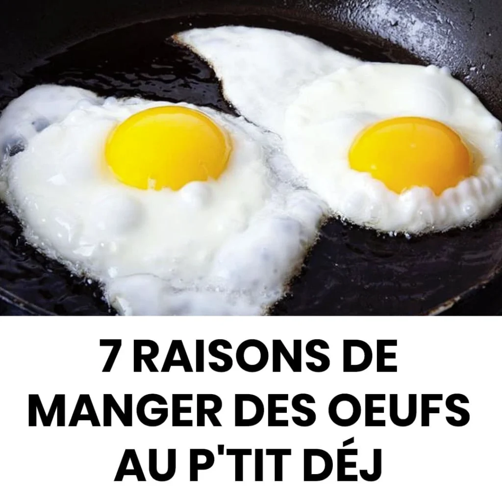 7 raisons de manger des oeufs au petit dejeuner 1024x1024.jpg (1)