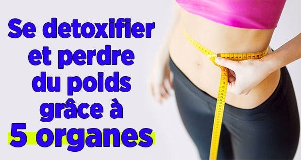 Detoxifier perdre poids grace organes