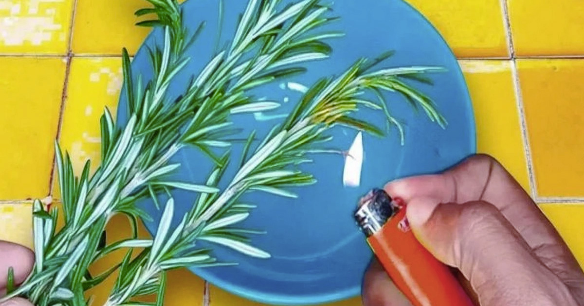 Les incroyables bienfaits du romarin brule a la maison