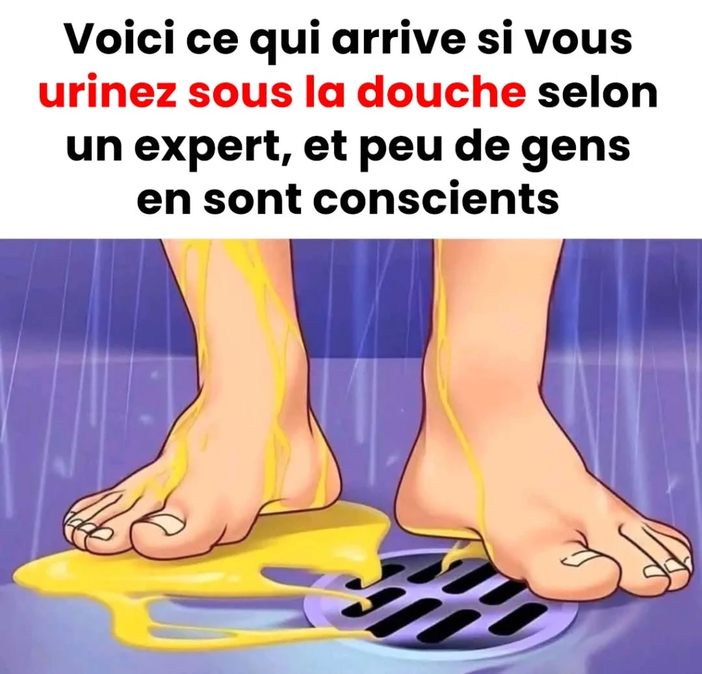 Les raisons pour lesquelles uriner sous la douche nest pas une bonne idee 1024x983.jpg