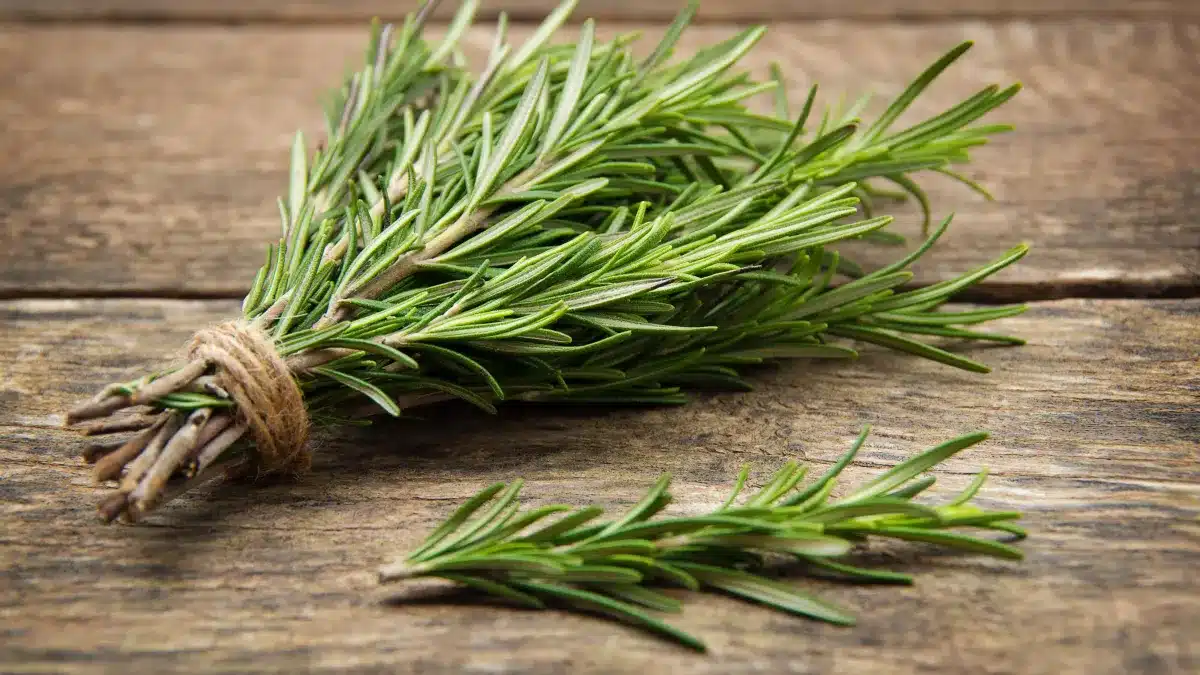 Melangez le romarin au vinaigre vous ne pourrez plus vous en passer
