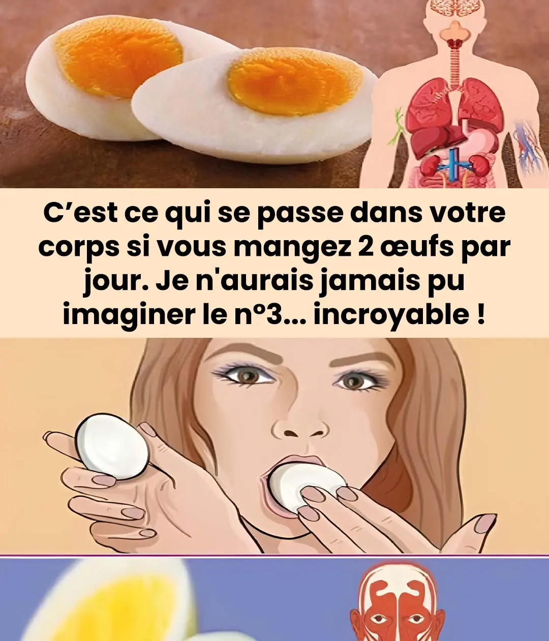 Que se passe t il dans le corps si vous mangez deux oeufs par jour.jpg