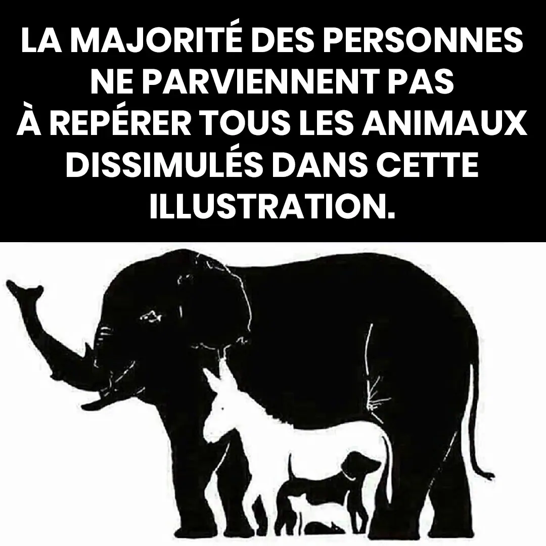 Seules les personnes avec un qi eleve parviennent a reperer plus de 6 animaux et vous combien en voyez vous.jpg