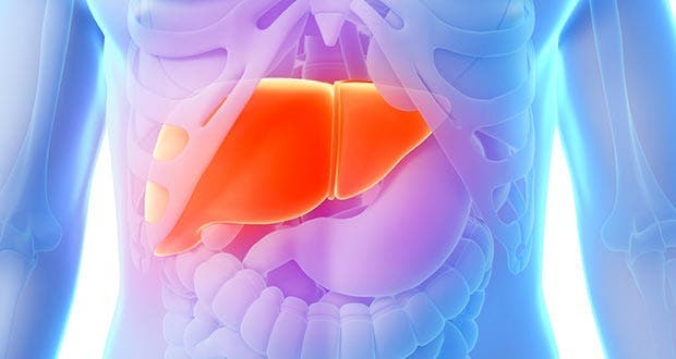 10 premiers signes dun foie malade11