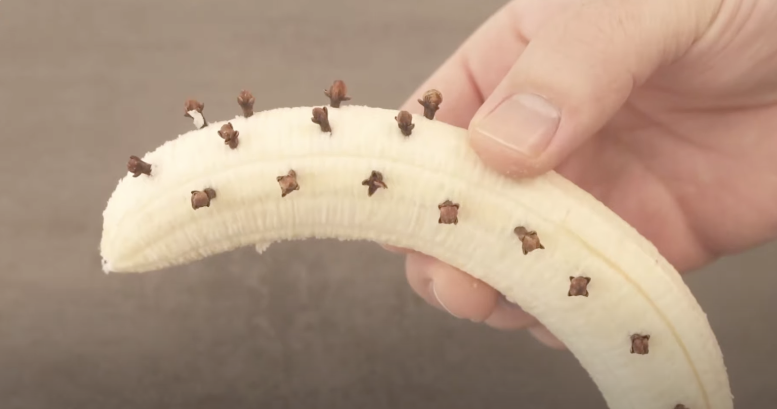 Capture decran 2025 01 26 a 17.41.59 1536x809