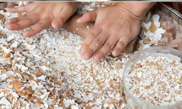 Design sem nome 10 780x470